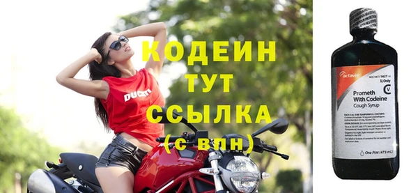 хмурый Верхний Тагил
