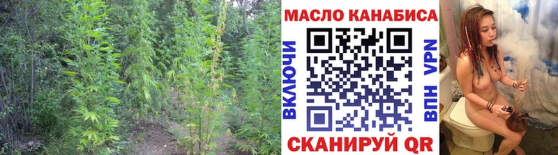Дистиллят ТГК THC oil  Купить закладки  Чапаевск 