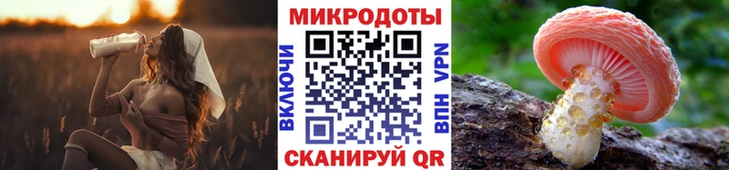 Купить закладки  Чапаевск  Галлюциногенные грибы Cubensis 